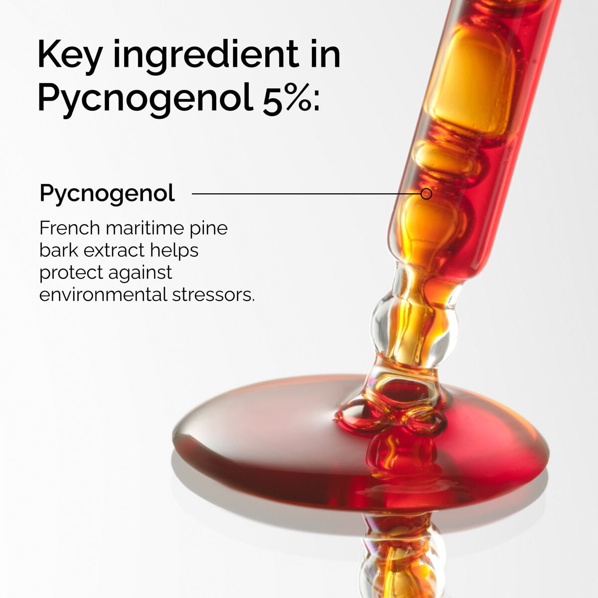 pycnogenol-5-b0 FY25-D41247-ORD-Web-PDP-Pyc-5pct-1x1-EN-2a.jpg
