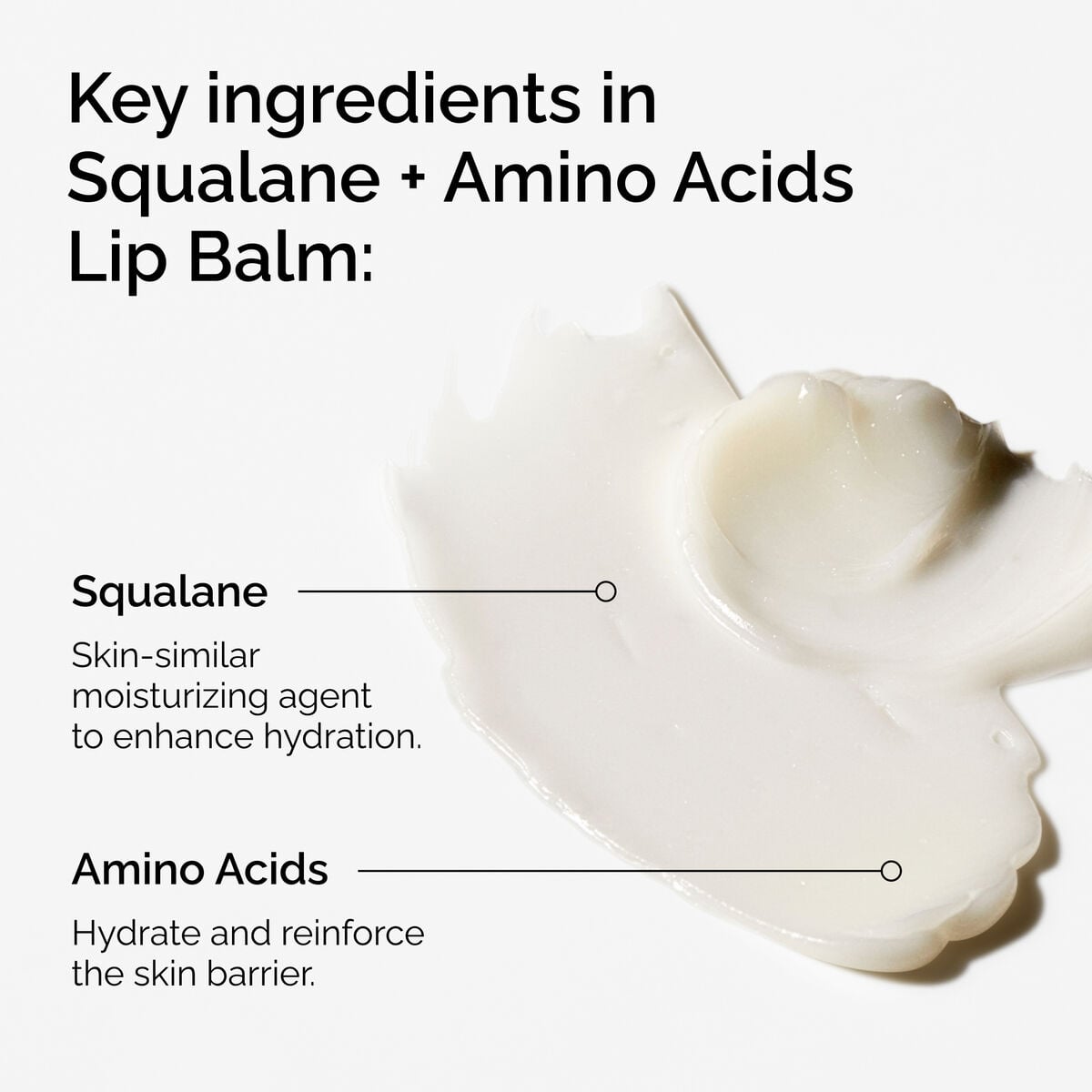 squalane-amino-acids-lip-balm-f3 FY25-D41247-ORD-Web-PDP-Sql-Amino-Lip-1x1-EN-2a.jpg