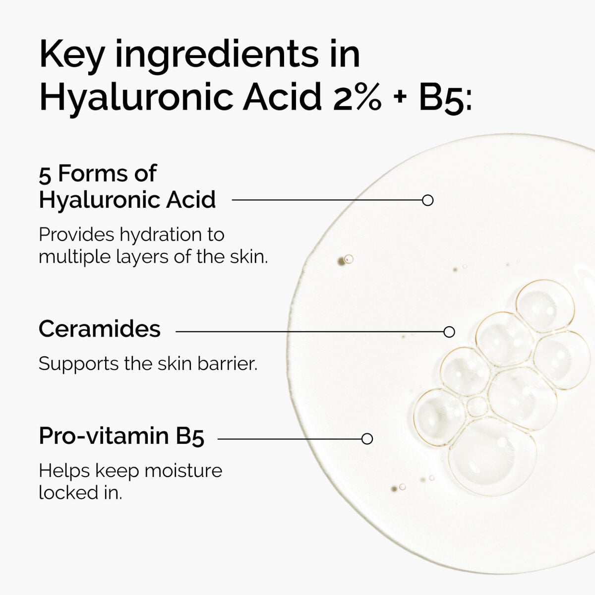 hyaluronic-acid-2-b5-with-ceramides-r8 ord-hyaluronic-acid-2pct-b5-hydrating-serum-ingredients-graphic.jpg