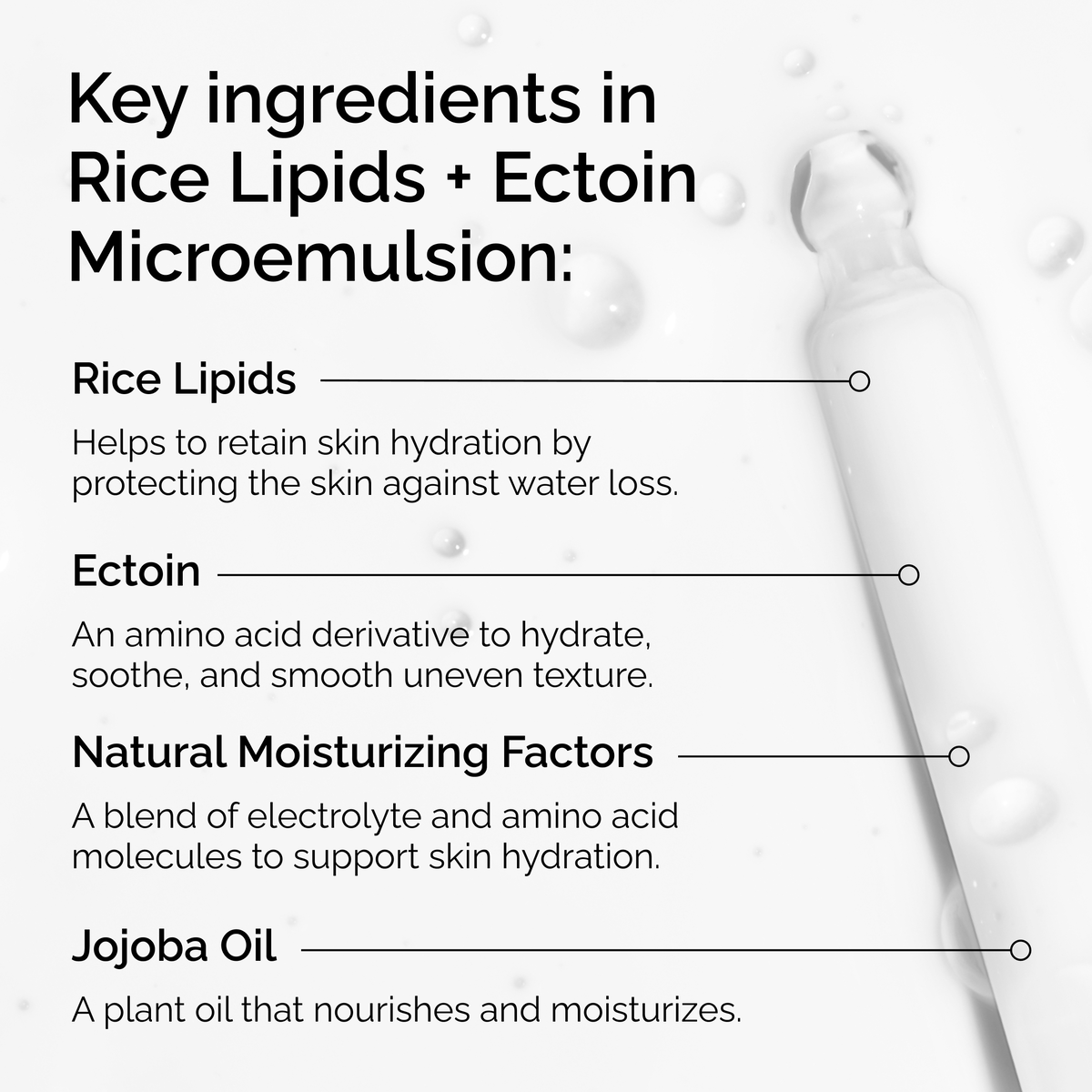 rice-lipids-ectoin-microemulsion-y8 ord-rice-lipids-ectoin-microemulsion-key-ingredients.png