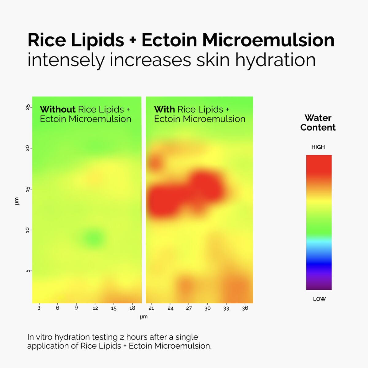 rice-lipids-ectoin-microemulsion-y8 ord-rice-lipids-ectoin-microemulsion-thermal-before-after.jpg